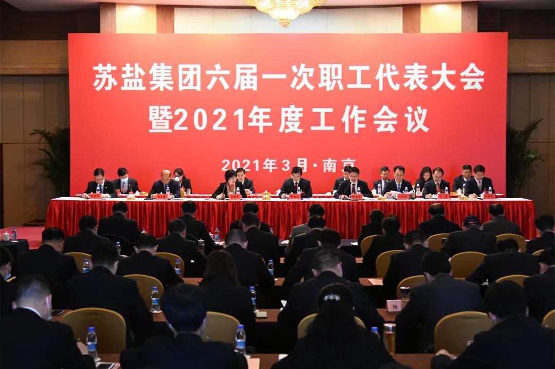 開局,2021蘇鹽交出高質量倍增發展優異答卷 開局,2021蘇鹽交出高質量倍增發展優異答卷
