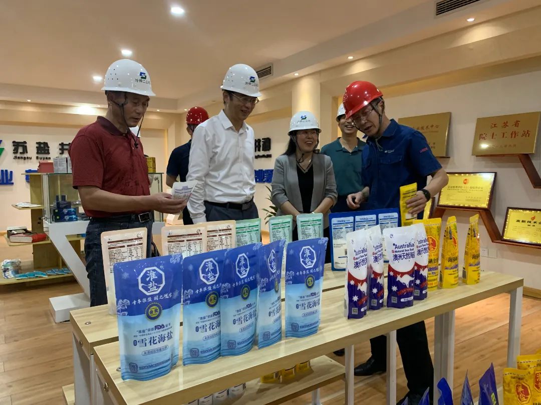 省工信廳副廳長黃萍一行蒞臨蘇鹽集團調研指導工作 省工信廳副廳長黃萍一行蒞臨蘇鹽集團調研指導工作