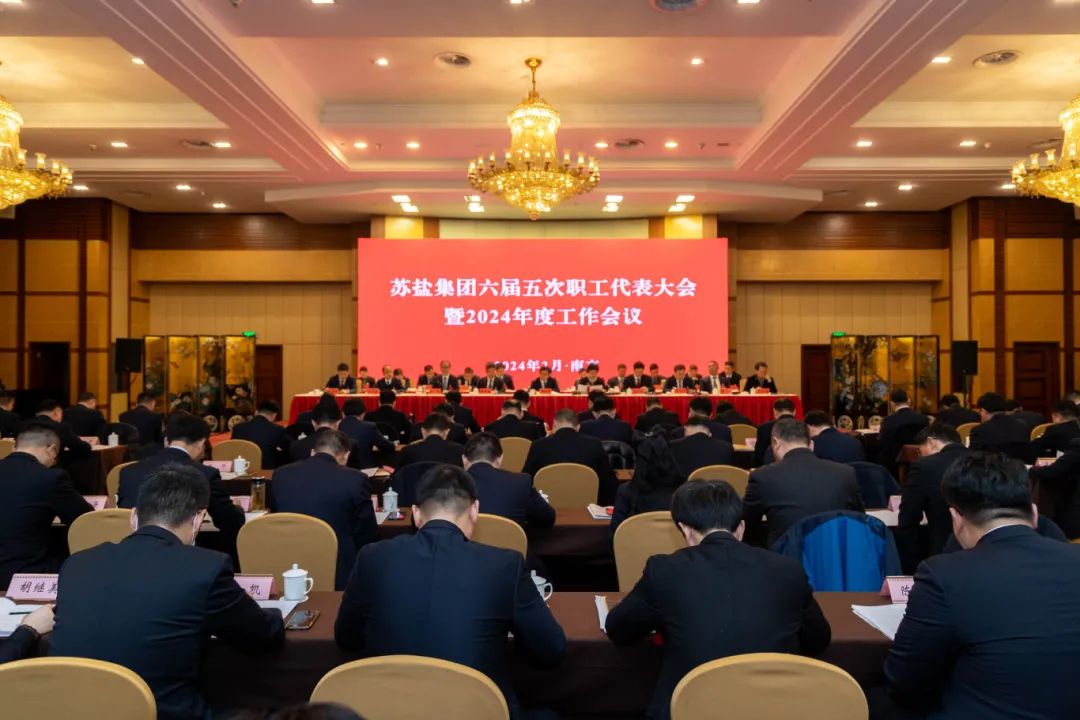 蘇鹽集團隆重召開六屆五次職工代表大會暨2024年度工作會議