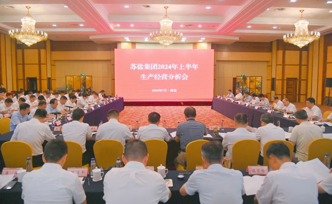 蘇鹽集團召開2024年上半年生產經營分析會